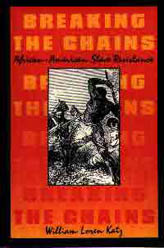 Breaking the Chains book cover